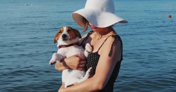 Woman sitting besides her Jack Russell at quay looking to the sea — Stock Video