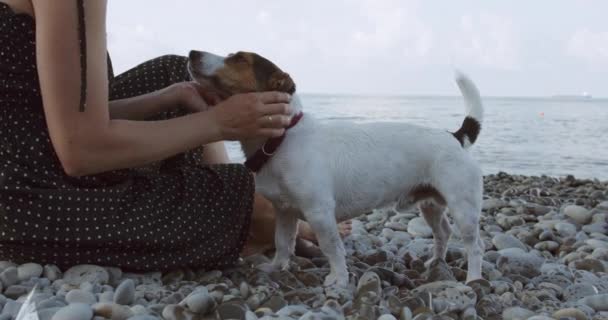 Donna seduta accanto al suo Jack Russell in banchina guardando verso il mare — Video Stock