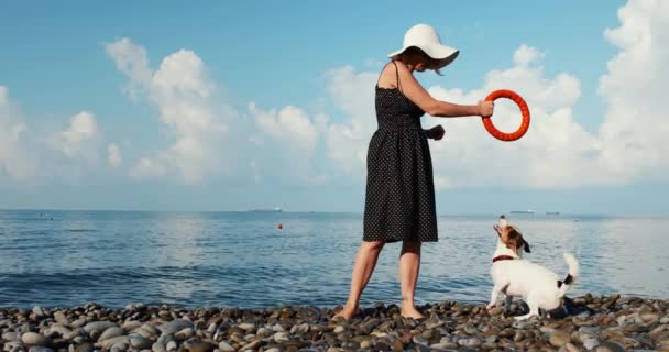 Kvinna leker med sin hund — Stockvideo
