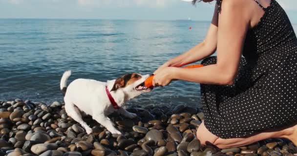 Mulher jogar com seu cão — Vídeo de Stock