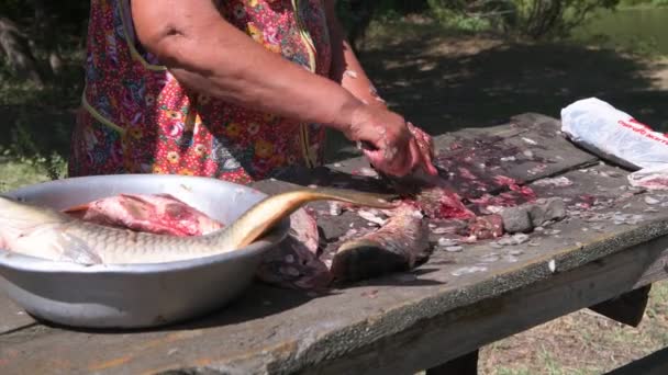 Pescador do sexo feminino mais velho limpa as escamas de um peixe grande animado — Vídeo de Stock