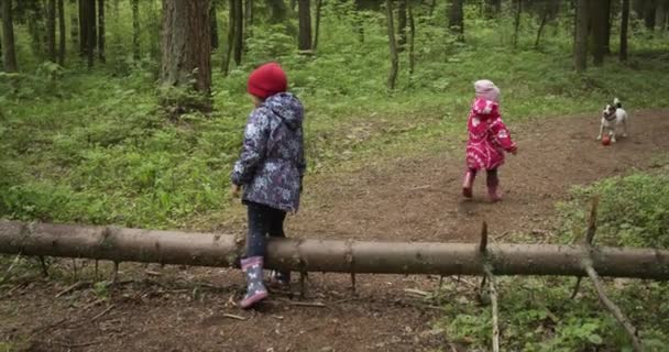 Deux sœurs marchant au milieu de la forêt — Video