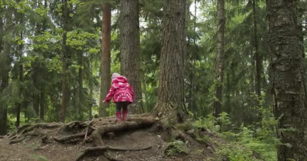 Vista trasera de la niña caminando por el sendero del bosque — Vídeos de Stock