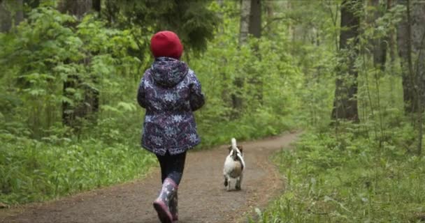 Back view of little girl on red hat walking on forest path — Stock Video
