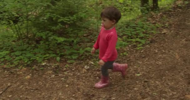 Widok z tyłu dziewczynki spacerującej po leśnej ścieżce — Wideo stockowe