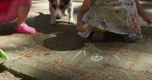 A lányok zsírkrétával rajzolnak a parkban. — Stock videók