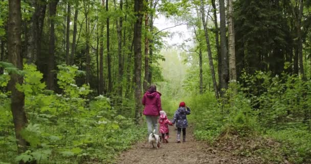 Мать держит за руки двух дочерей во время прогулки по лесу с собакой — стоковое видео