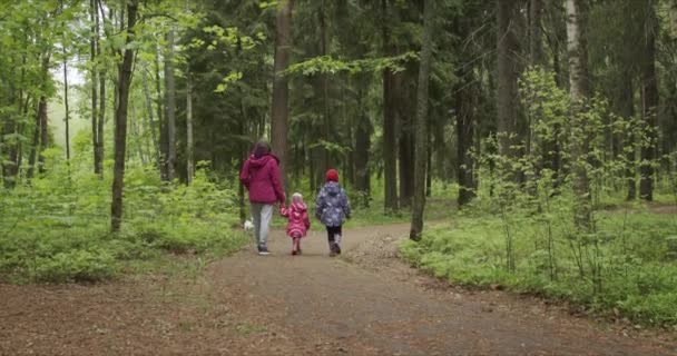 Мать держит за руки двух дочерей во время прогулки по лесу с собакой — стоковое видео