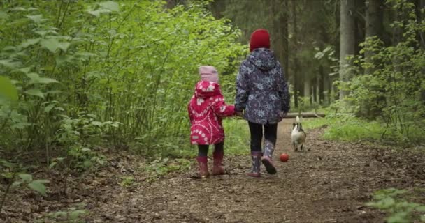 Hermanas cogidas de la mano mientras caminan en medio del bosque — Vídeos de Stock