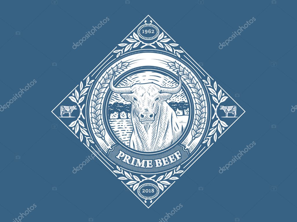Prime beef 2 is a vector illustration about premium quality beef meat
