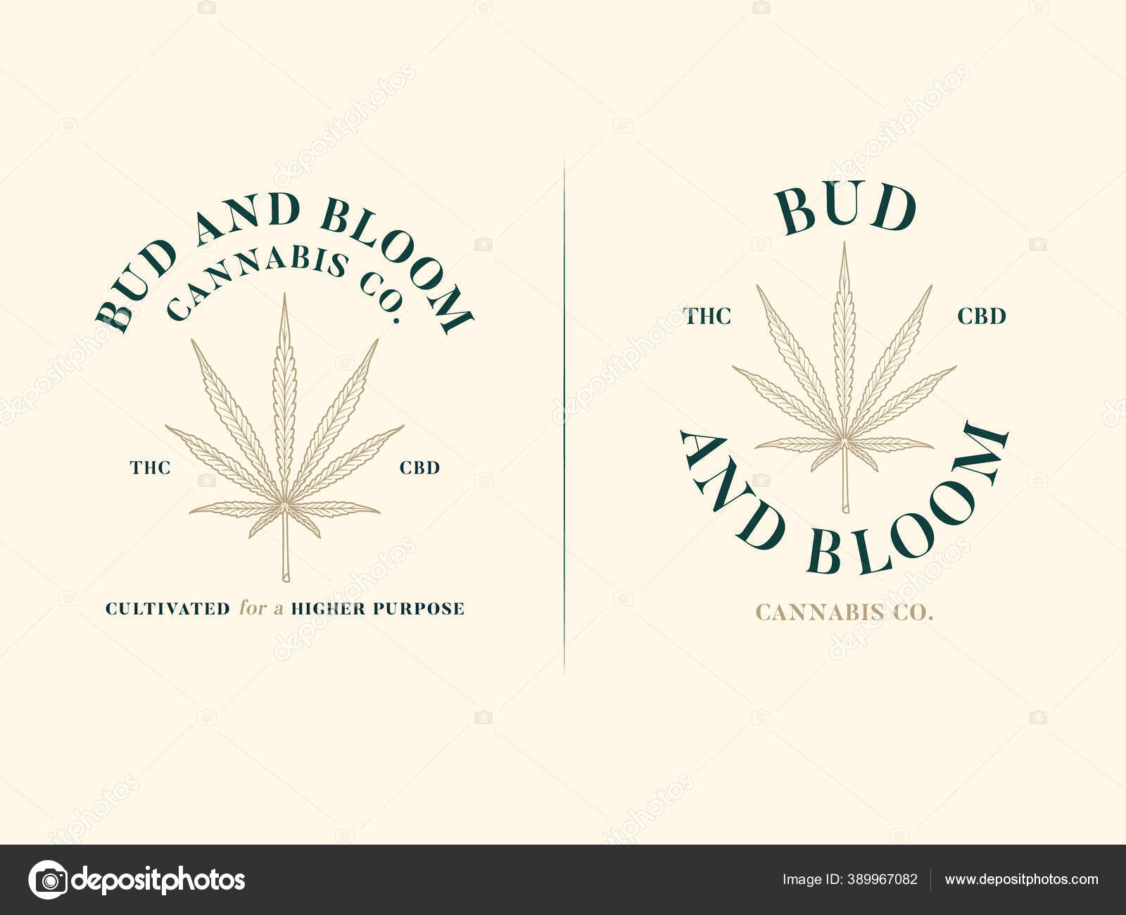 Cannabis Bloomストックベクター ロイヤリティフリーcannabis Bloomイラスト Depositphotos