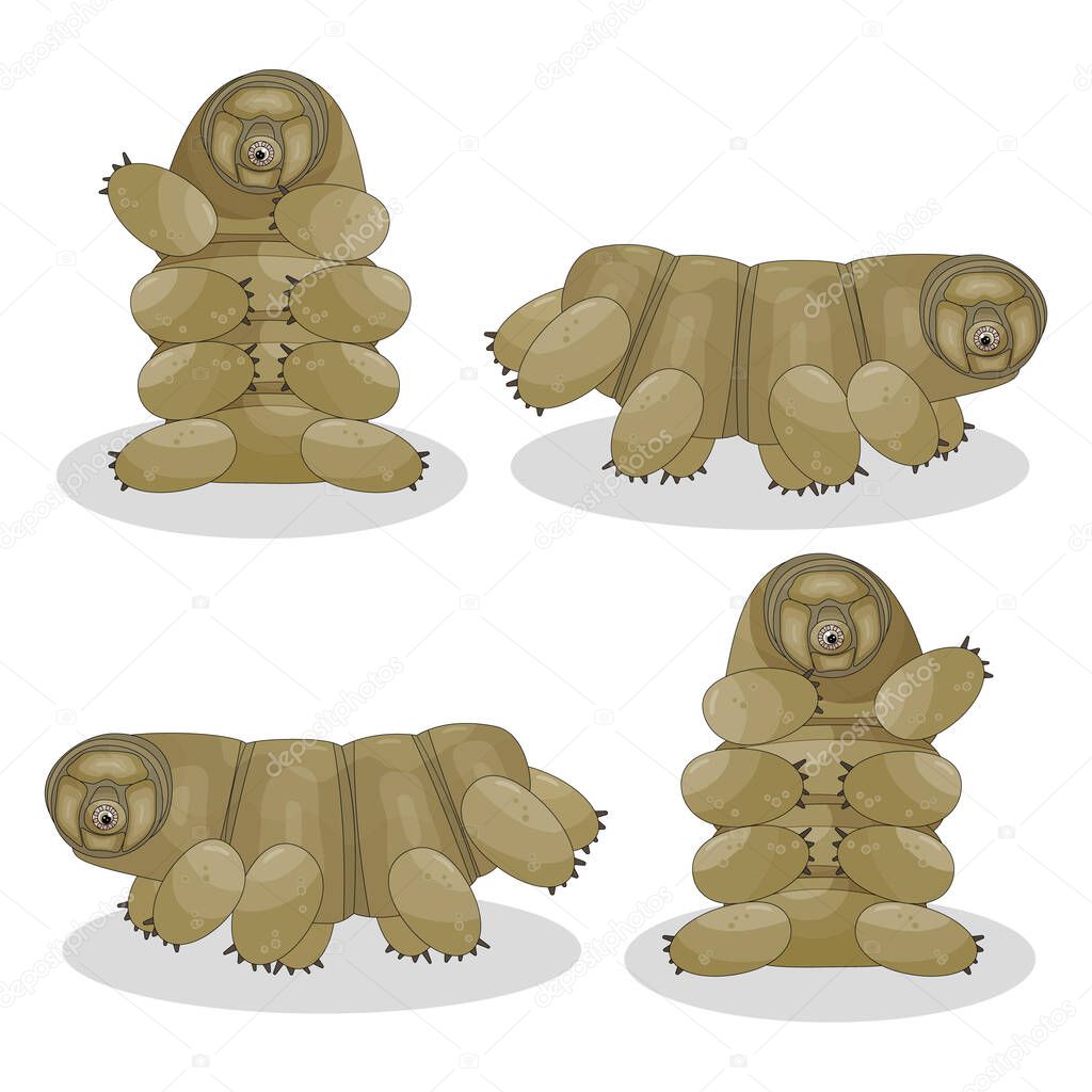 Brown, yellow isolated happy quirki cute cartoon vector tardigrade is sitting, running, jumping on white background