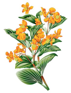 Yeni dijital tekstil tasarımı çiçekler ve dijital bayan gömlekleri için yapraklar soyut, klasik baskı