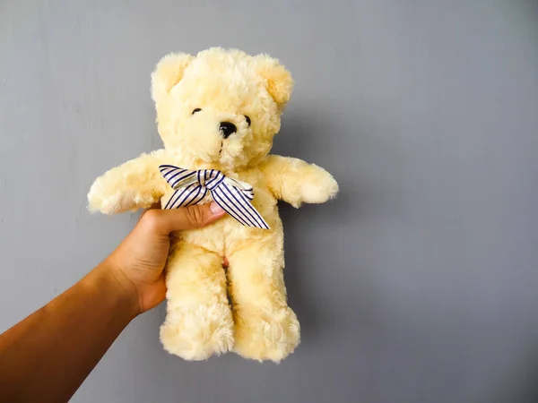 Witte Teddybeer Grijze Achtergrond — Stockfoto