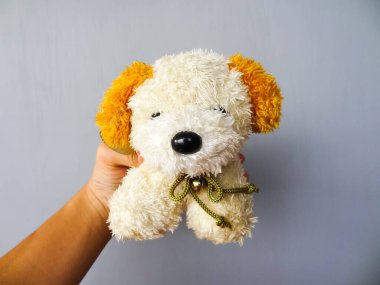 Gri arka planda beyaz köpek bebeği