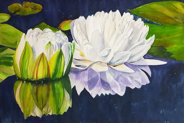 Aquarelverf Van Drijvende Witte Waterlelie Bloemen Water Reflectie Ervan — Stockfoto