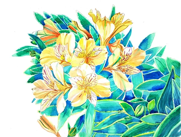 Aquarelle Peinture Fleurs Alstroemeria Jaune — Photo