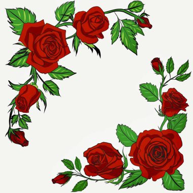 Beyaz arkaplanda kırmızı güllerin dijital tablosu