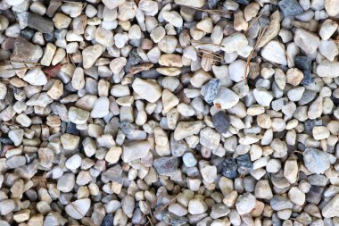 Deniz kıyısındaki taşlar. Farklı boyut ve renkler.