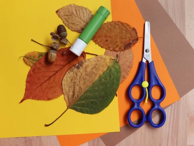 Çocuklarla ilgili fikirler: kağıt, makas, yapıştırıcı, sonbahar yaprakları ve meşe palamudu.