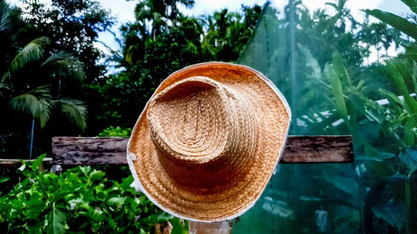 Doğayla ve gökyüzüyle ilgili sahnede hasır şapka.