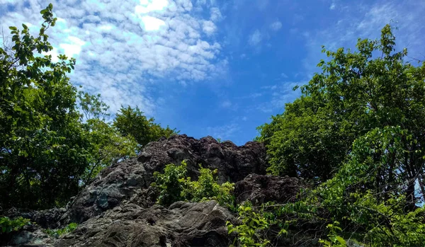 山岩有树 森林有天空和云彩背景 — 图库照片