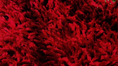 Kalıplı kırmızı bir kumaş.