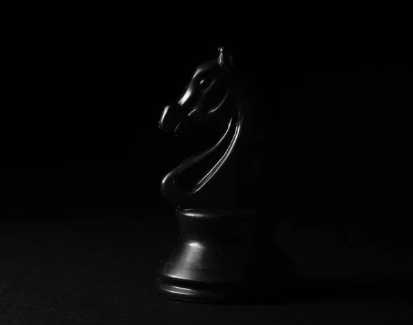 a black and white of chess knight standing alone showing its greatness -  Stock Image - Everypixel