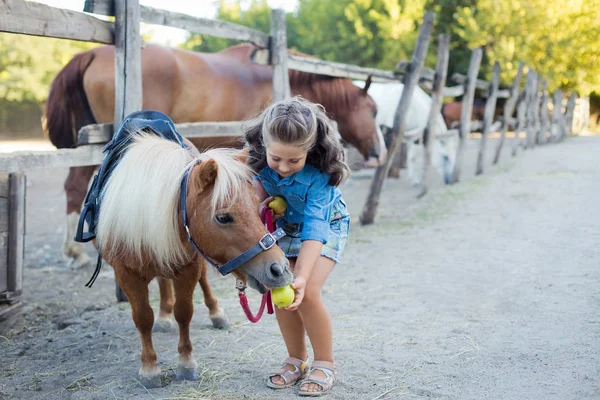 Маленькая улыбающаяся девочка с вьющимися волосами, одетая в джинсы и кормящая пони в конюшне. — стоковое фото