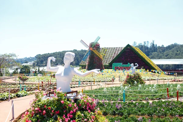 DALAT FRESH FARM - gradina pitoreasca de flori si loc de vizitat in Da Lat — Fotografie, imagine de stoc