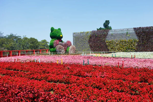 DALAT FRESH FARM - gradina pitoreasca de flori si loc de vizitat in Da Lat — Fotografie, imagine de stoc