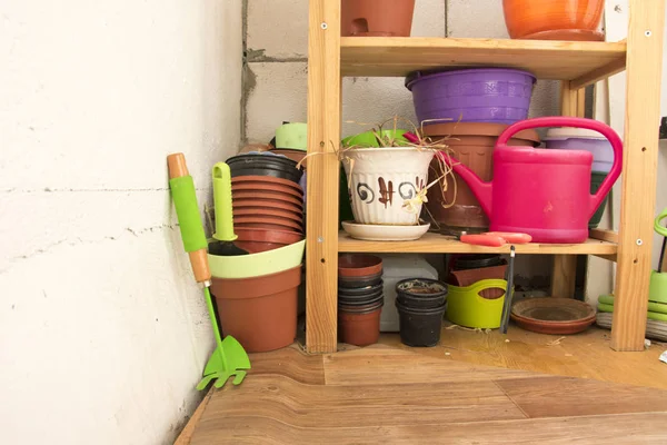 Pots Semis Fleurs Multicolores Outils Pour Jardinage Rangement Sur Abri — Photo