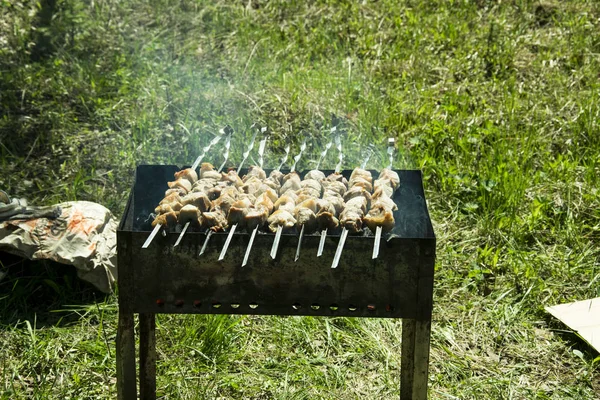 Grillen Auf Dem Grill Sommer Freien Fleisch Wird Gebraten — Stockfoto