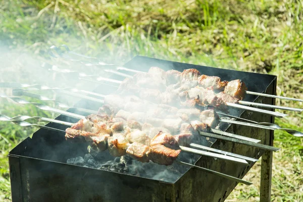 Barbecue Sulla Griglia Estate All Aperto Bella Carne Succulenta Appena — Foto Stock