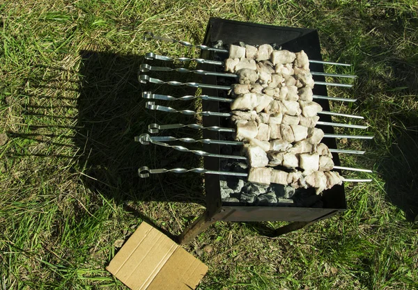 Grilování Grilu Létě Venku Syrové Maso Špízu Kladen Ohořelého Uhlí — Stock fotografie