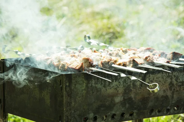 Barbecue Sur Gril Été Extérieur Les Mains Tournent Brochette Pour — Photo