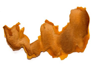 Beyaz arka plan üzerinde fotoğraf manipülasyon izole kırık çam ağacı kabuğu