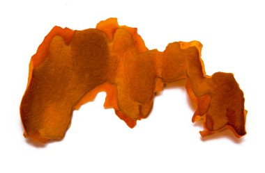 Beyaz arka plan üzerinde fotoğraf manipülasyon izole kırık çam ağacı kabuğu