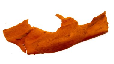 Beyaz arka plan üzerinde fotoğraf manipülasyon izole kırık çam ağacı kabuğu