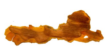 Beyaz arka plan üzerinde fotoğraf manipülasyon izole kırık çam ağacı kabuğu