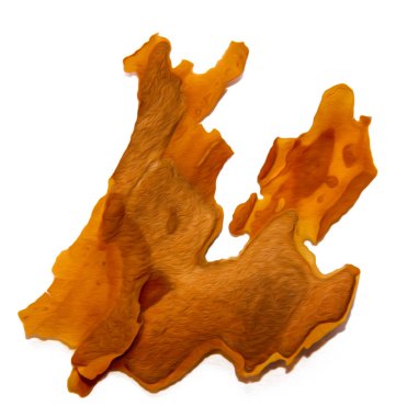 Beyaz arka plan üzerinde fotoğraf manipülasyon izole kırık çam ağacı kabuğu