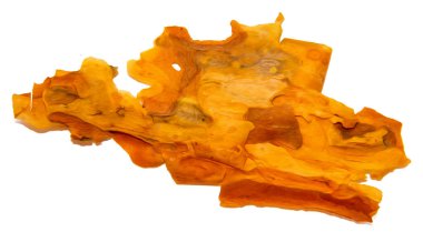 Beyaz arka plan üzerinde fotoğraf manipülasyon izole kırık çam ağacı kabuğu