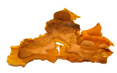 Beyaz arka plan üzerinde fotoğraf manipülasyon izole kırık çam ağacı kabuğu