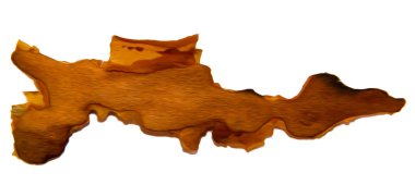 Beyaz arka plan üzerinde fotoğraf manipülasyon izole kırık çam ağacı kabuğu