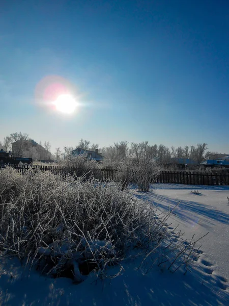 Día Despejado Invierno Paisaje Rural Con Jardín Rústico Cubierto Nieve — Foto de Stock