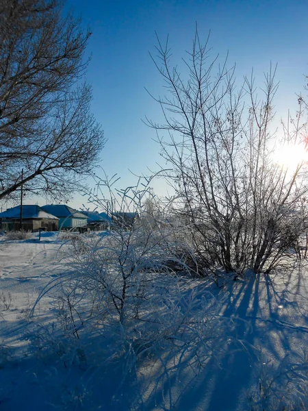 冬クリア日素朴な庭園と田園風景は 雪で覆われて 木の枝を冷凍 バック グラウンドで見られる小さな家は します — ストック写真