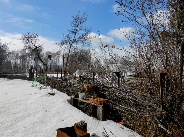 Начало Весны Вытаскивая Ледяную Корку Снег Сельскую Местность Обнаженные Стволы — стоковое фото