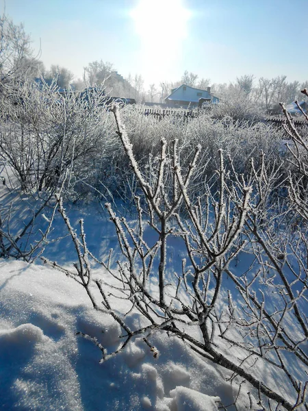 Dia Inverno Claro Uma Paisagem Rural Com Jardim Rústico Coberto — Fotografia de Stock