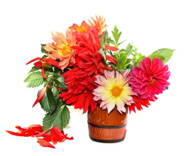 sarı, kırmızı renkli iğne dahlias dağınık yaprakları üzerinde beyaz izole bir seramik kupa