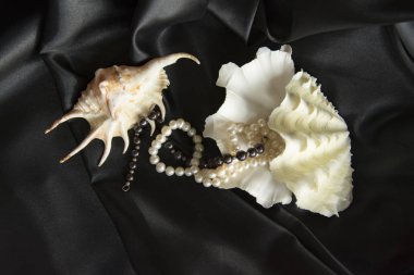 siyah ipek üzerinde kabukları, inci kolye, parfüm, fash figürlü vardır